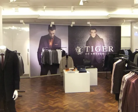 Tiger Wall Graphics